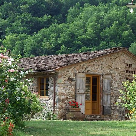 Villa Bottino By Salogi Villas San Martino in Freddana Exterior foto